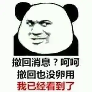  撤回消息表情包最新版