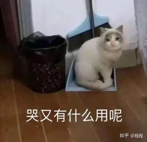  如何以我是个孟婆,但我是男的为开头写一个故事