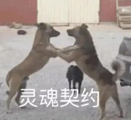 哎等等别走表情包配音送