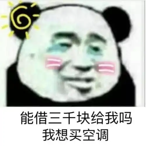 借我1000钱表情包