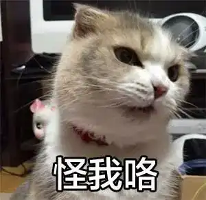  一妹子吃完饭,对老板说老板,我没带钱,可以刷脸么