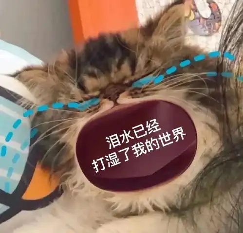 妈咪表情包大全宝宝