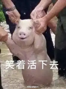  网红小猪被做成表情包了,哈哈哈太可爱了