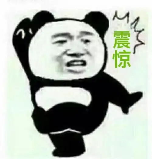 熊猫头表情包最新小熊猫