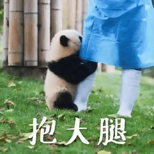  马尼的故事与喜欢的姑娘无果后,对菀菀一见钟情,谁知当了备胎