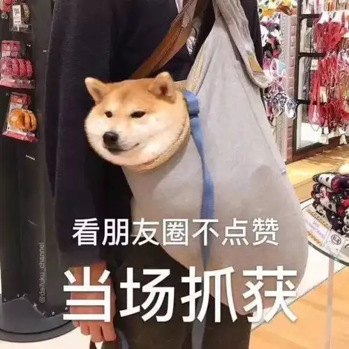  搞笑有趣的朋友圈背景图