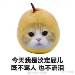 猫屎的表情包不哭