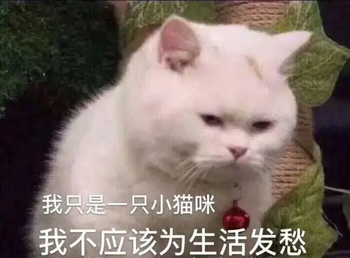  因为接受了调剂拟录取,想要二战了,给姐妹们说说...