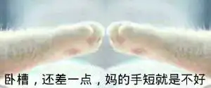 猫爪牵手表情包全套牵手