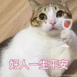  自行车撞烂轿车交警你没看错网友求自行车链接