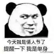  熊猫头表情包今天就是情人节,提醒一下我是单身