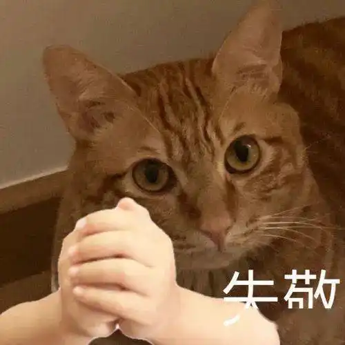  每日沙雕表情包