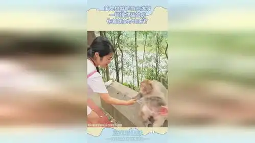  美女挑衅峨眉山泼猴,一顿操作猛如虎,伤着就笑不出来了