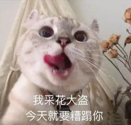  表情包我躺好了你来吧