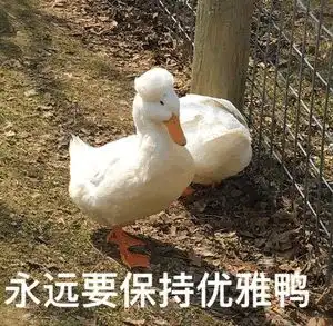  长春十一高系学校有多牛学校信息大起底