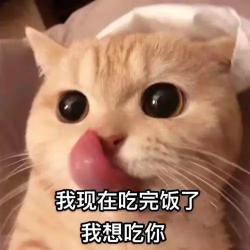  表情包丨tui的就是你