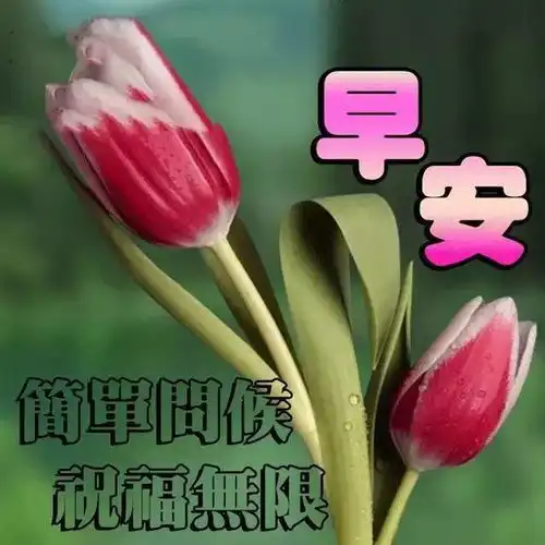 亲爱的早表情包