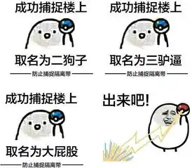 win表情包楼上