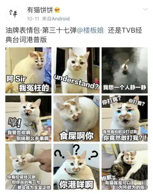  难过萌翻全世界的网红狗俊介去世,楼楼也走了,上帝把我们的表情包都带走了...