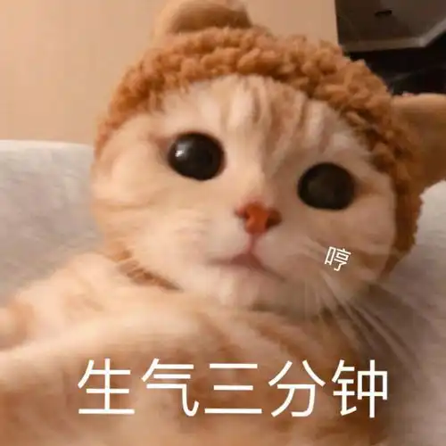  熊孩子哭了家长笑了,游戏里乱消费会被要求人脸识别