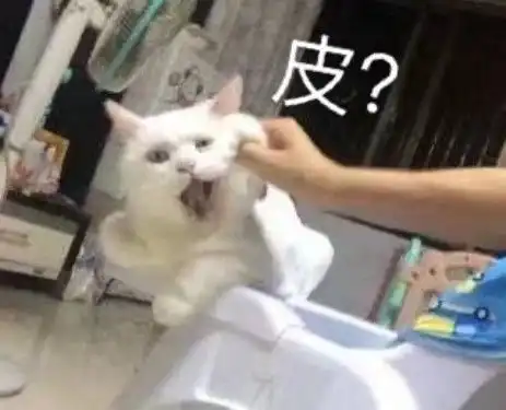 哎等等别走表情包配音别