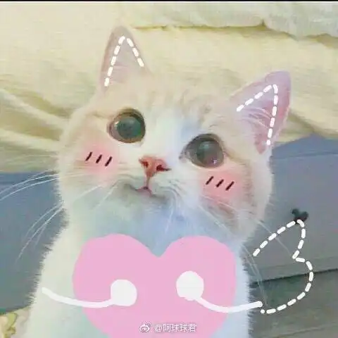 摸头不怕表情包
