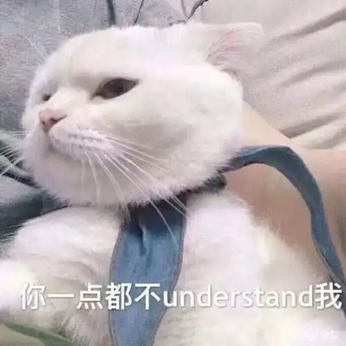  疫情过后,最想做什么填满你的心愿清单,出行还需要它