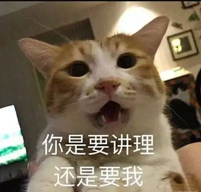  开启澳洲之旅