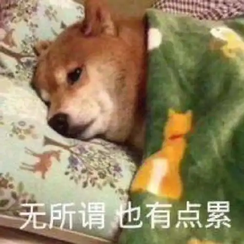  小朋友现在换个爸爸还来得及吗