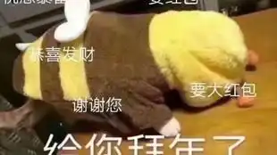  周日常奇怪,卡苍龙熊