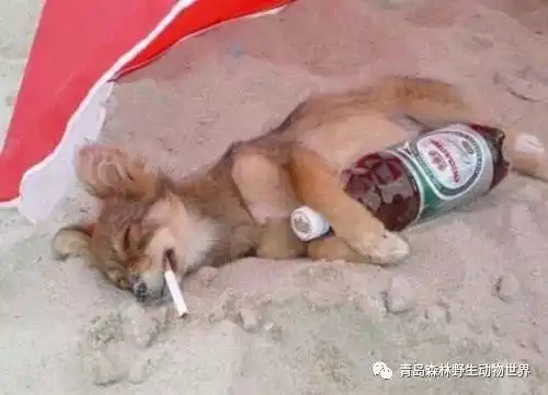  这个春节,你过得怎么样