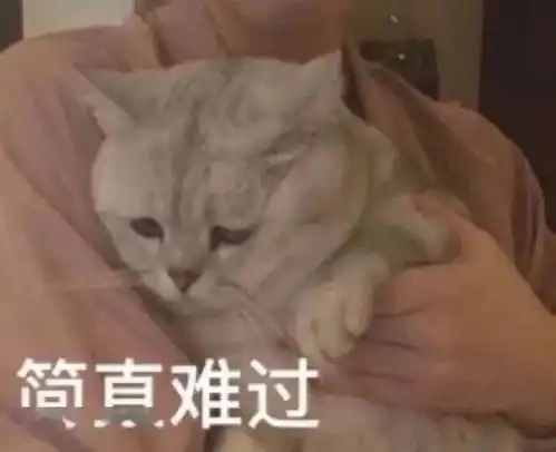  表情包为了狗命,睡觉吧