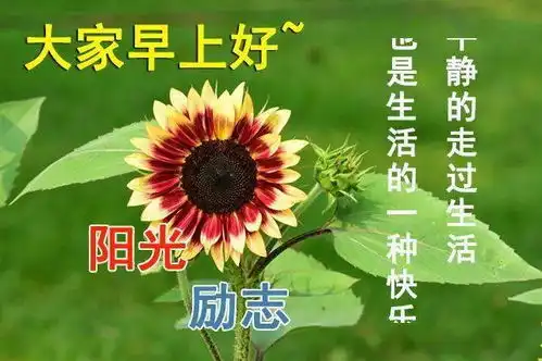 7月最新漂亮清晨早上好动态鲜花图片表情大全早上好祝福语图片带字