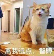  严宽要当爹了他真是九世智商换一世颜,堪称行走的低能宠妻狂魔