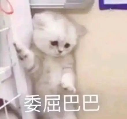  猫咪撩人表情包16张超级超级喜欢你心跳加速
