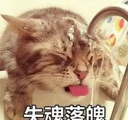  猫咪个性表情包,看什么没见过帅猫啊