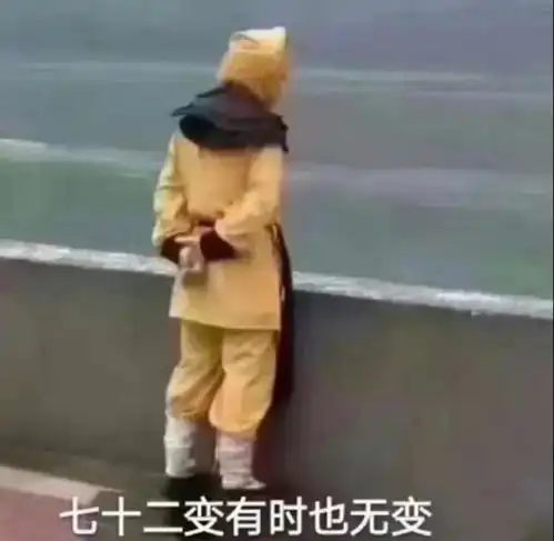  七位数uid的我居然还是四级