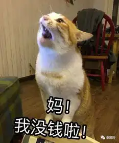  中国人在泰国熬个博士学位,回国就业走上人生巅峰