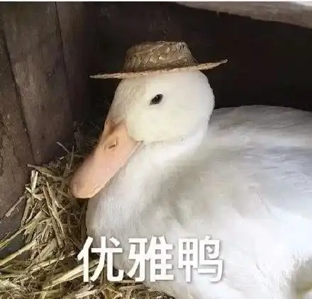  社旗人,有驾照的赶紧看你的驾驶证或可减免6扣分