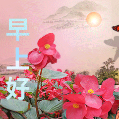  7张有创意免打字聊天早上好动态图片,唯美早安问候祝福动画表情图片精选