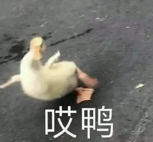  说话艺术家公开道歉,现在最难熬的应该是她吧