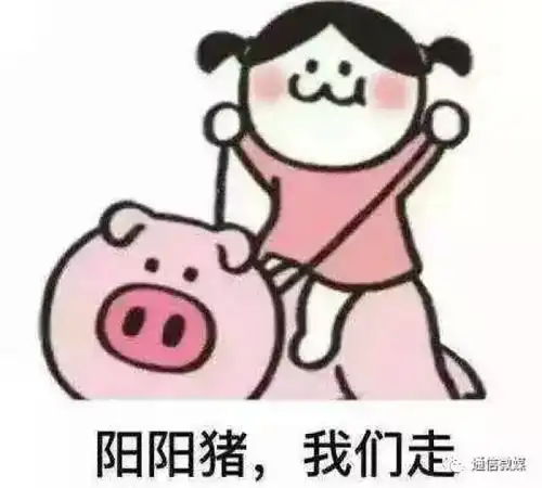  解密2017年流行语top20这些流行语你用过吗