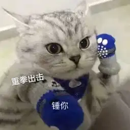  表情包丨亲亲建议您少bb两句呢
