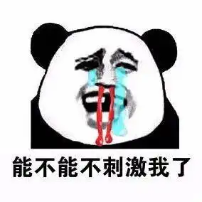  熊猫头表情包你要不喜欢,可以亲我鸭鸭