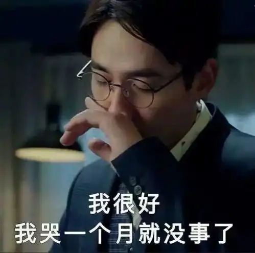 严肃点大叔表情包原版