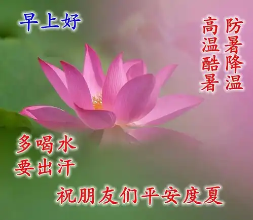  8张非常漂亮的早上好祝福语图片2021秋日群发早上好问候表情图片