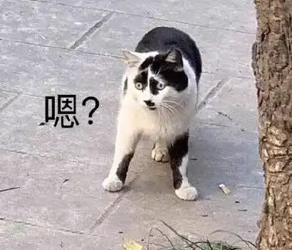 奶牛猫丑到自带表情包2020第一批丑猫出炉,一般人吸不动