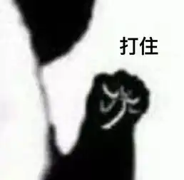  专业自述第二弹,它来了