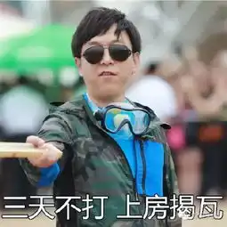 bug表情包极限挑战