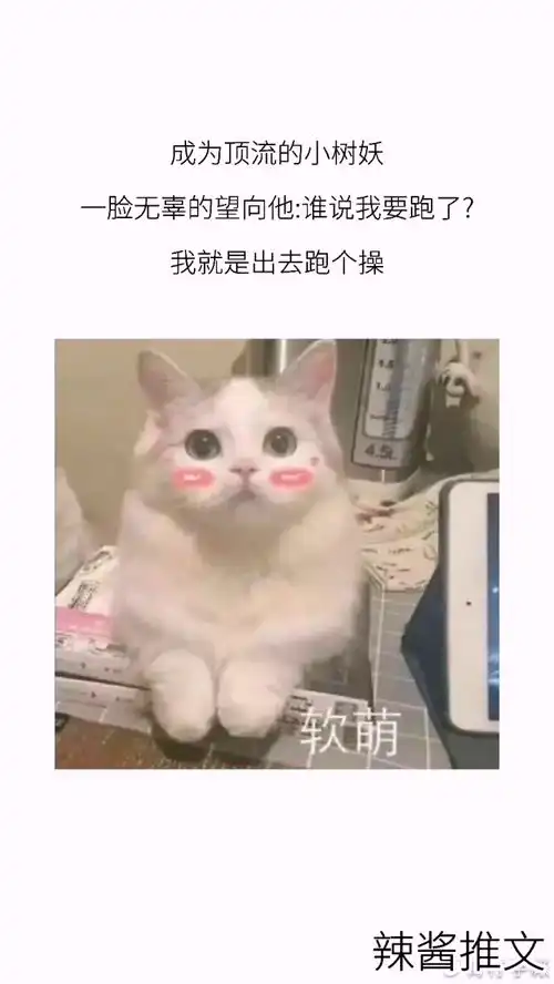  小说每日推文安利快穿攻略沙雕表情包